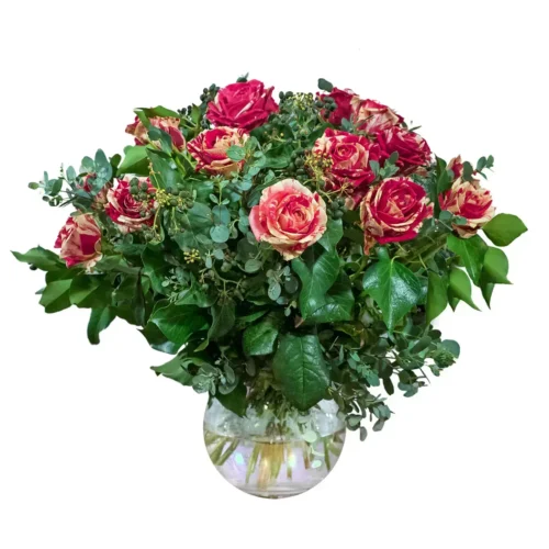 Secret Serenade | Peak Flowers | Flower Delivery | Harlequin Roses