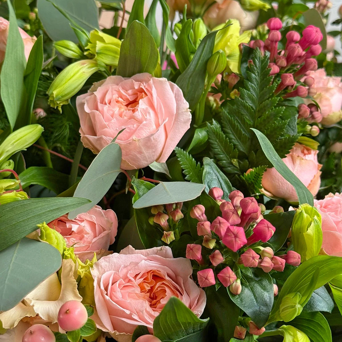 Blush Meadow - Image 2