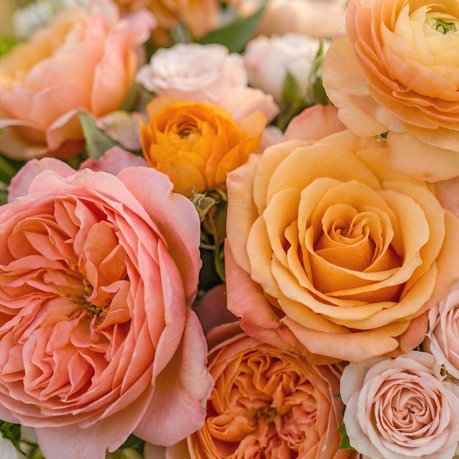 Clementine Glow Bridal Bouquet