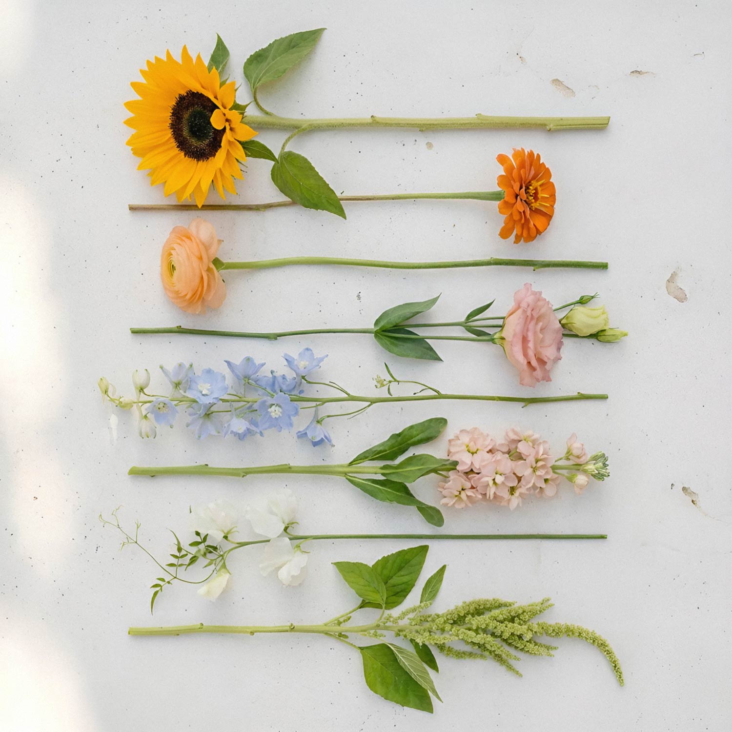 Garden Flora Bridal Bouquet